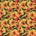 Image Not Available